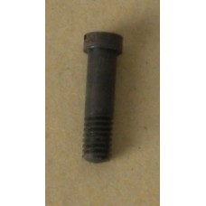 Hammer Screw 1858 New Army